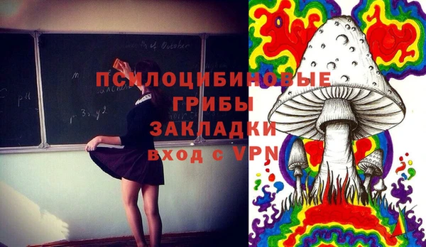 мдпв Медвежьегорск