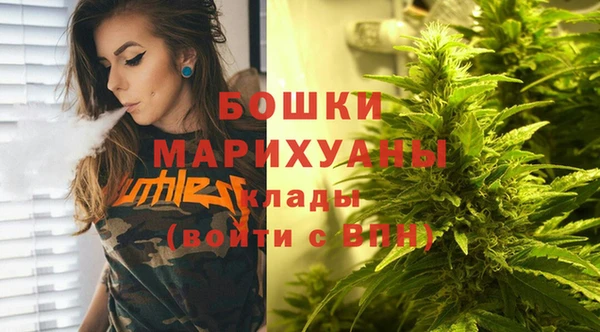 мдпв Медвежьегорск