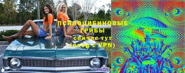 мдпв Медвежьегорск