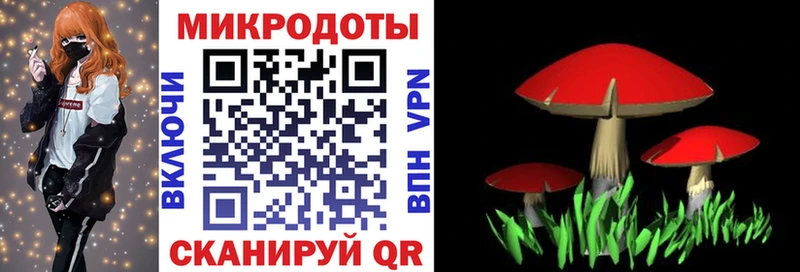 Галлюциногенные грибы GOLDEN TEACHER  Мытищи 