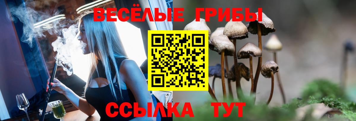 Галлюциногенные грибы GOLDEN TEACHER Мытищи