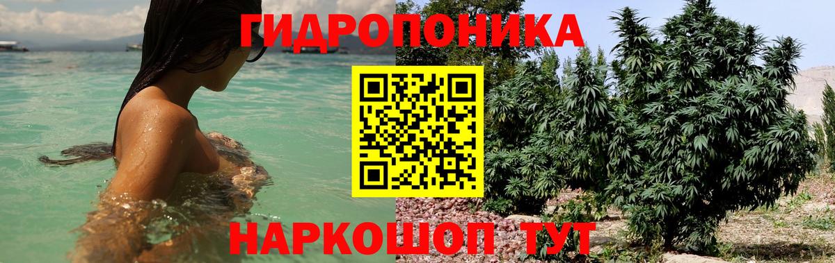 Каннабис планчик Мытищи